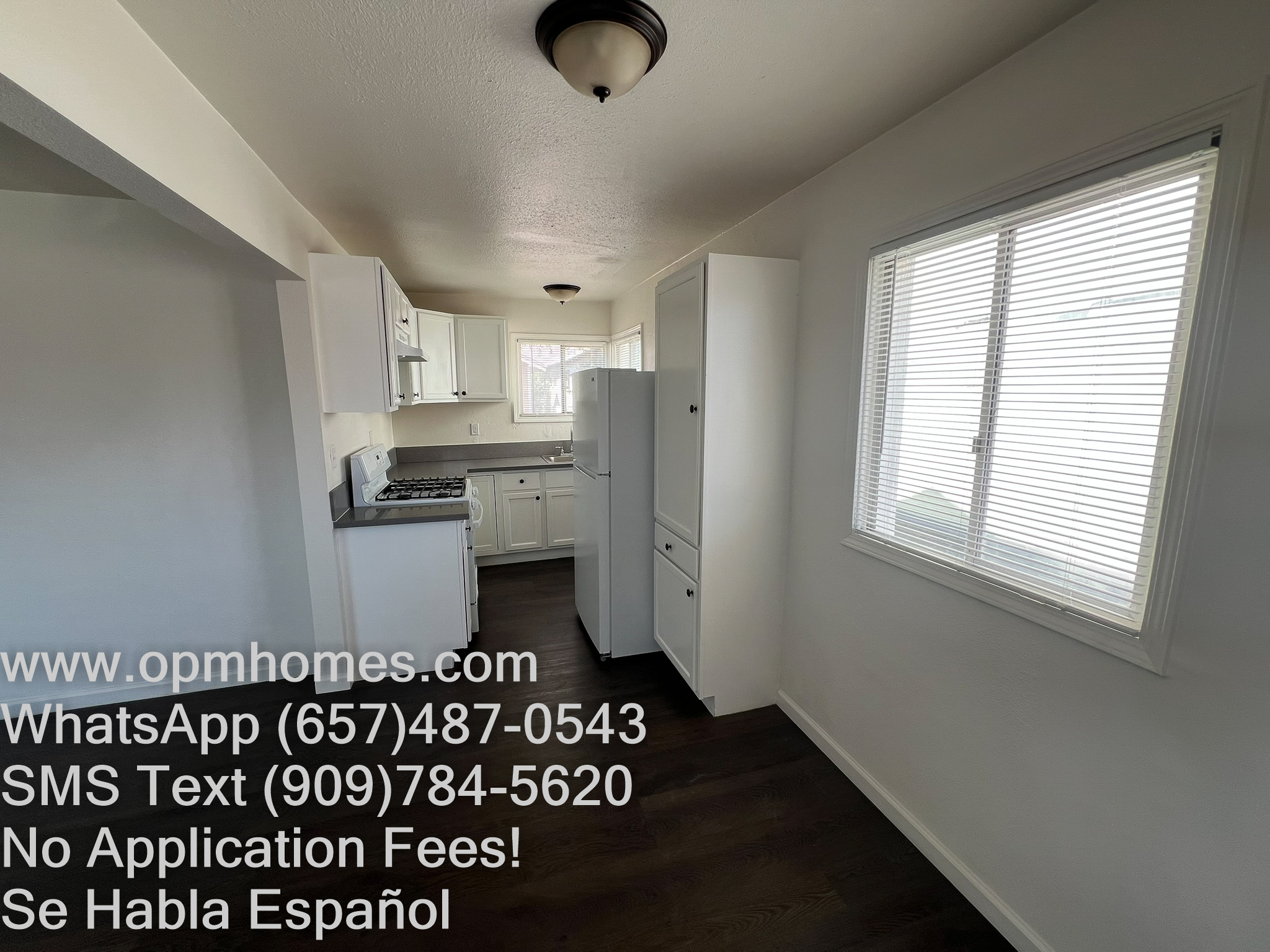IMG_8166